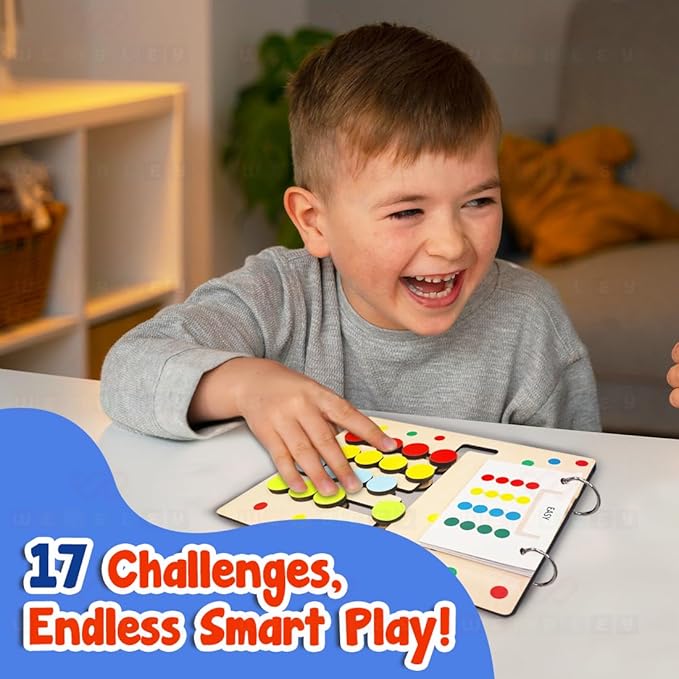 Wembley Kids Montessori Puzzle Game Learning Toy for Kids Color and Pattern Matching