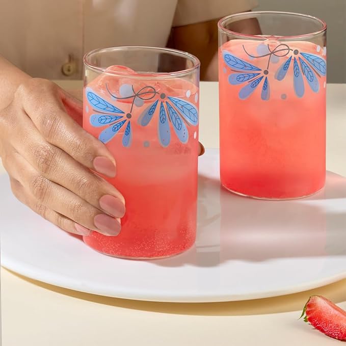 Borosil Vision Twilight 295 ml Set of 6 pcs Transparent Drinking Glass