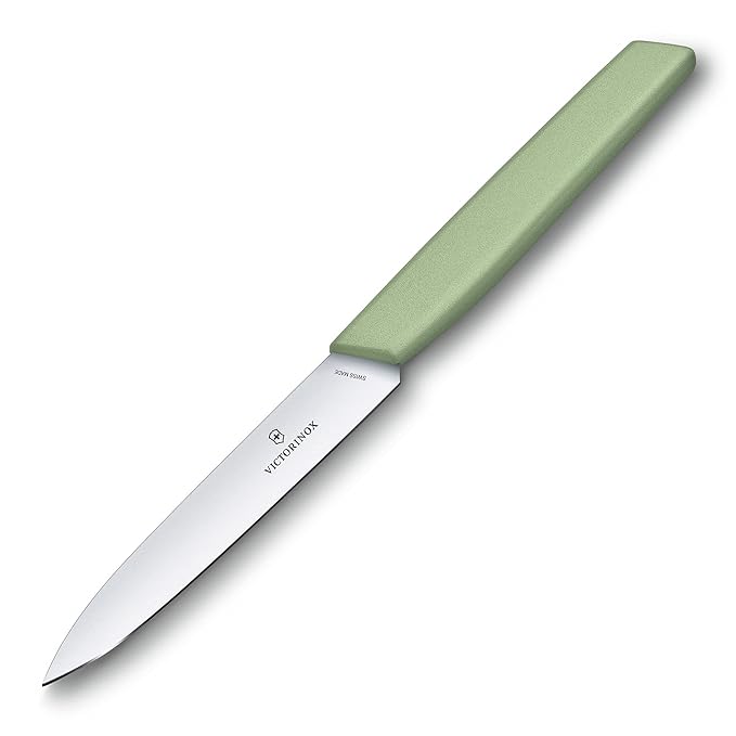 Victorinox Swiss Modern Stainless Steel Pairing Knife for Vegetable & Fruit Cutting 10 cm 6.9006.1042