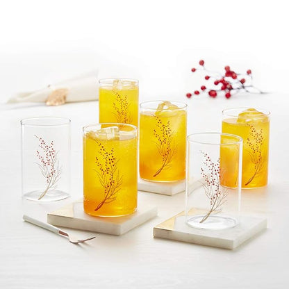 Borosil 295 ml Set of 6 Piece Cherry Vision Transparent Drinking Glass