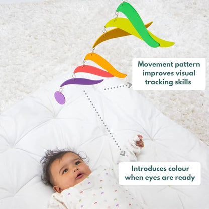 Curious Cub Montessori Learning Wooden Toys