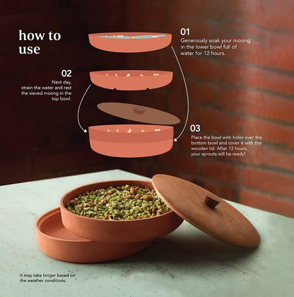 Ellementry Terracotta Sprouter with Wooden Lid | 300ml | Sprout Maker | Serving Dish