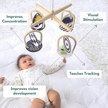 Curious Cub Montessori Learning Wooden Toys