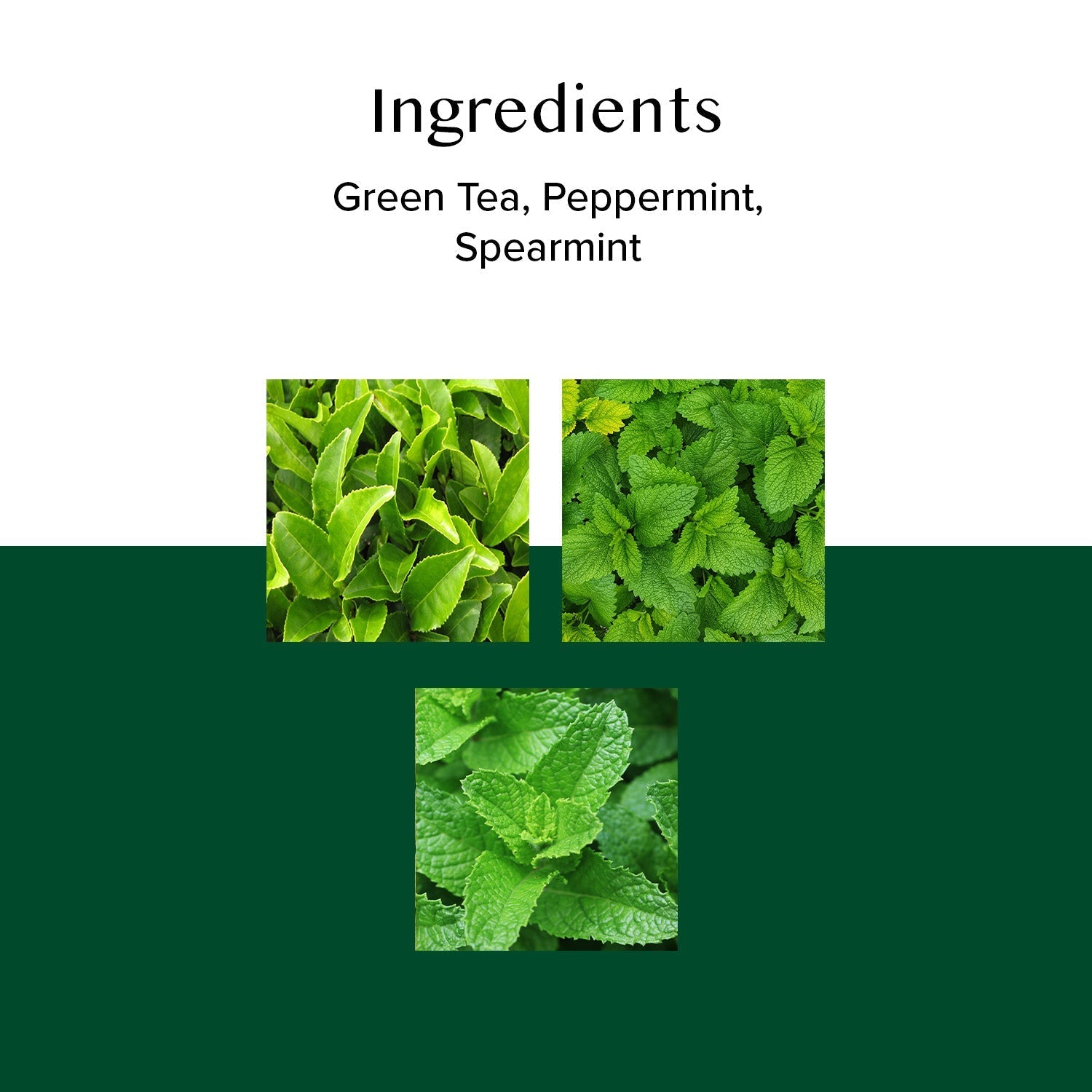 Mint Melody Green Tea, 15 Count