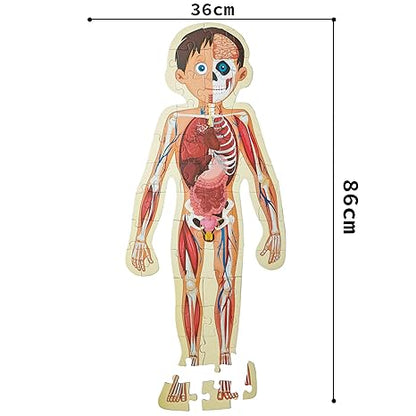 The Book Tree Human Body Puzzle Box for Kids 50+ Jigsaw Puzzle Pieces Board Book