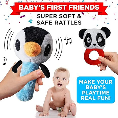 Einstein Box Gift Set for Babies and Newborns ages High Contrast Flash Cards