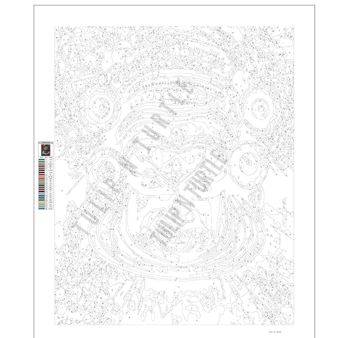 Tulip N Turtle Kathakali Diy Acrylic Paint by Number Kit for Adults Kids Beginner Number Painting Kit | Wall Decoration