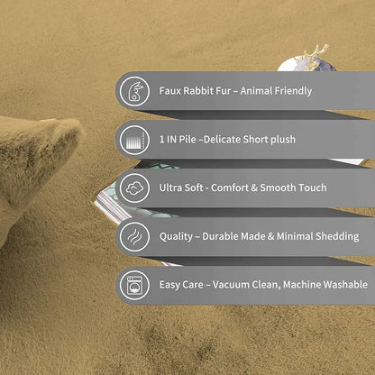 Luxe Home International Ruffle Floor Rug Rabbit Fur 1000 Gsm Living Room Foot Mats 4 X 6 Ft Colour Mocka