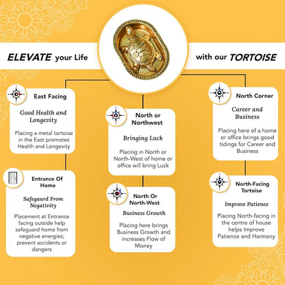 Ekhasa Pure Brass Tortoise Vastu with Brass Plate EKIDBR-01TOP2-GL