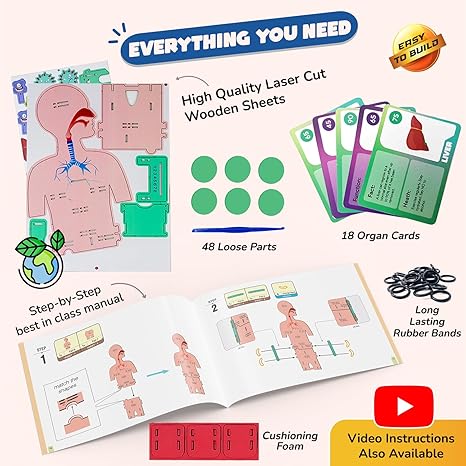 Smartivity Human Body Toy for Kids Body Organs & Functions Birthday Gifts for Boys & Girls