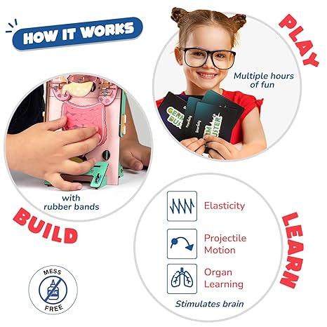 Smartivity Human Body Toy for Kids Body Organs & Functions Birthday Gifts for Boys & Girls