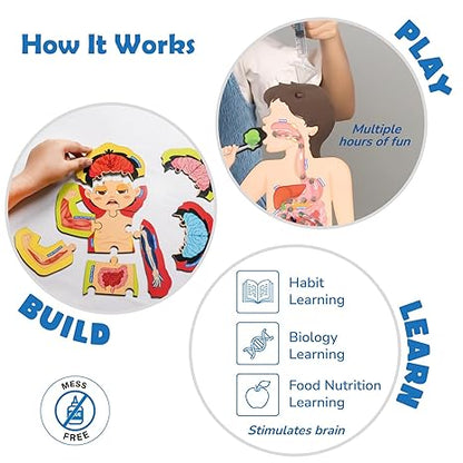 Smartivity My Body My Nutrition Toy for Kids Healthy Eating Game Educational Science Toy