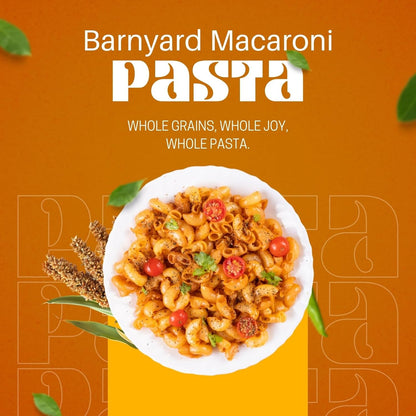 Healthy Master Millet Pasta Barnyard Macaroni - 400 gms