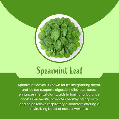 Organic Habits Spearmint Leaves Tea 100 Gms | 100% Natural Dried Spearmint Loose Leaves Tea | Spearmint Herbal Tea