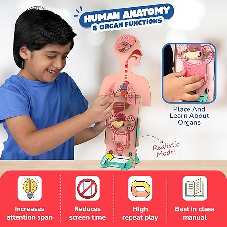 Smartivity Human Body Toy for Kids Body Organs & Functions Birthday Gifts for Boys & Girls