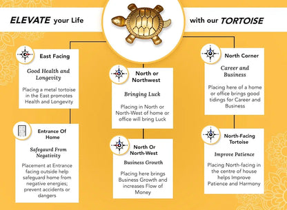 Ekhasa Pure Brass Feng Shui Tortoise for Good Luck Tortoise-Set of 2