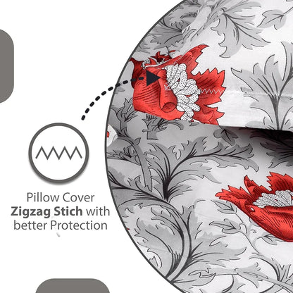 Divine Casa 144 TC 100% Cotton Bedsheet for Double Bed with 2 Pillow Cover Colour Scarlet Grey