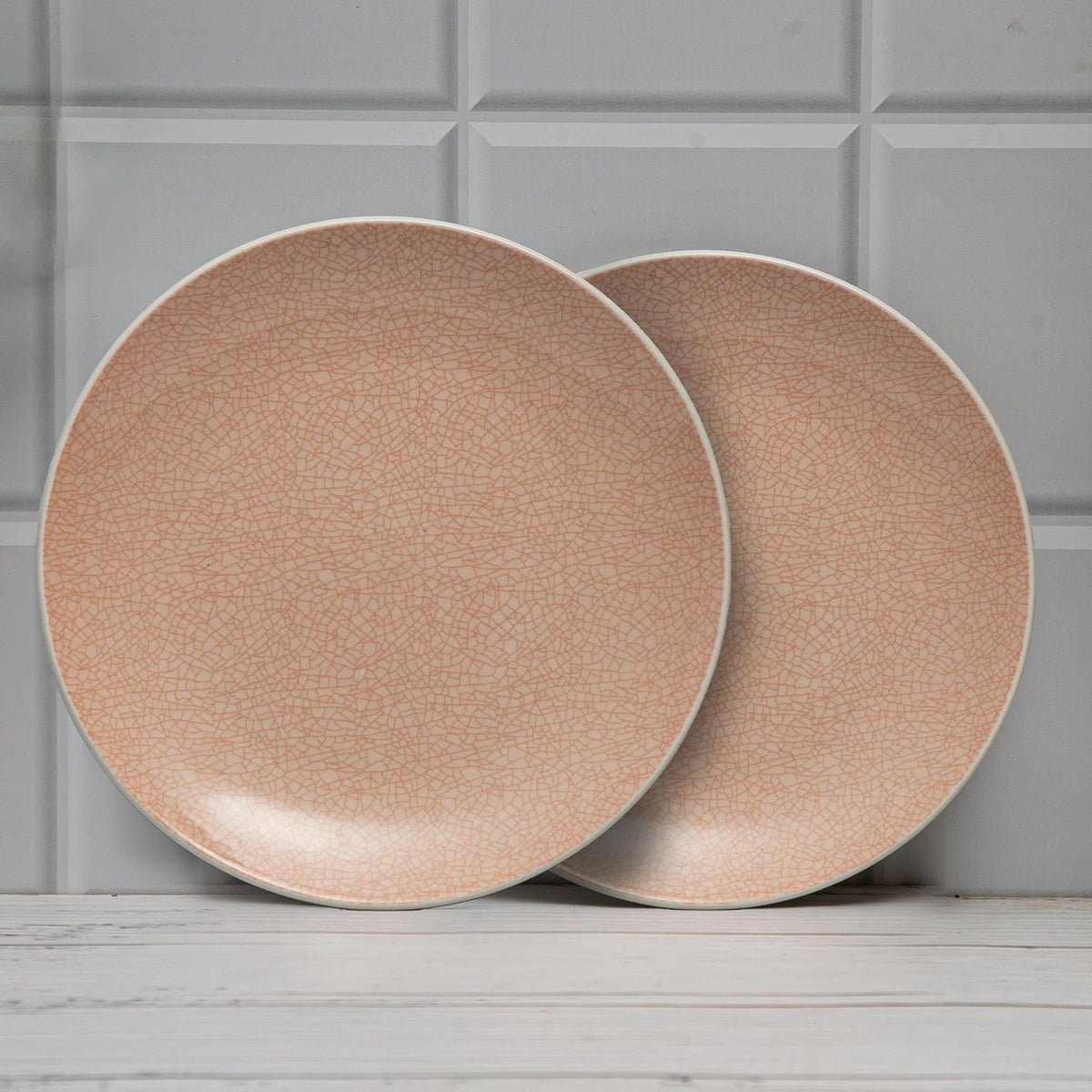 Anko 11 inch Pink Bella Stoneware Dinner Plates Set of 2 Microwave Dishwasher Safe