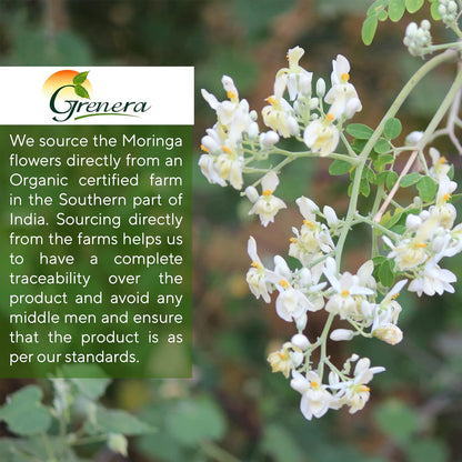 Grenera Moringa Flower - 50 gms