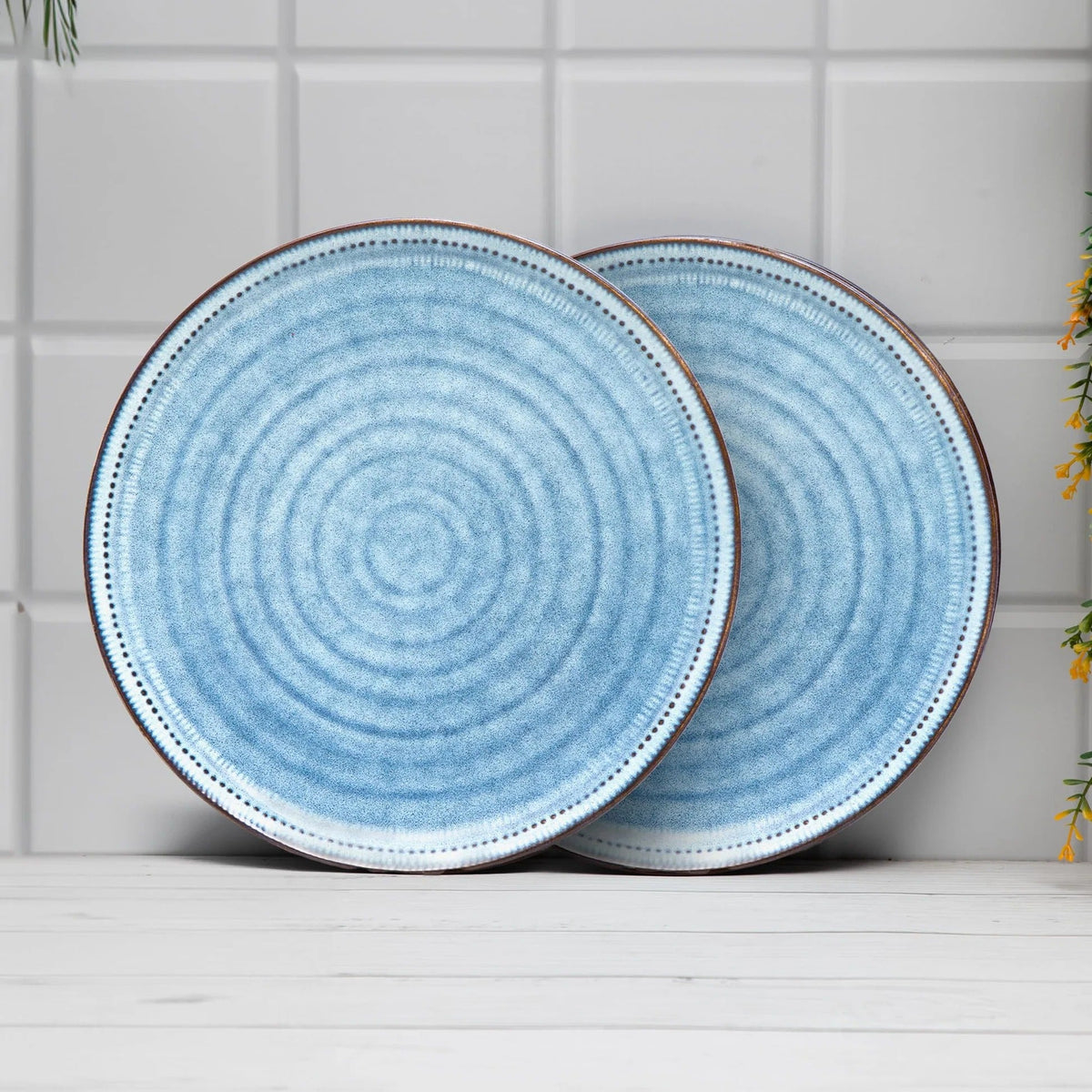 Anko 11 inch Maison Stoneware Dinner Plates Set of 2 Blue Microwave Dishwasher Safe BPA Free