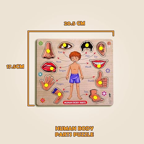 Highroof Body Part Wooden Puzzle Kids Games Toys For Kids 3+ Jigsaw Puzzles For Adults Baby