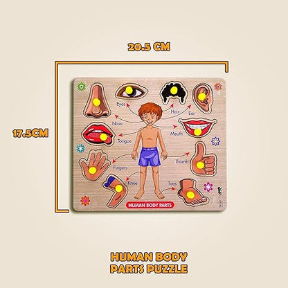 Highroof Body Part Wooden Puzzle Kids Games Toys For Kids 3+ Jigsaw Puzzles For Adults Baby