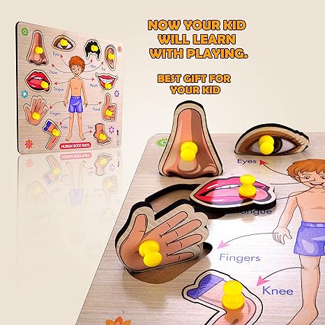 Highroof Body Part Wooden Puzzle Kids Games Toys For Kids 3+ Jigsaw Puzzles For Adults Baby
