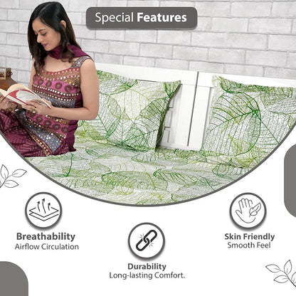 Divine Casa 144 TC 100% Cotton Bedsheet King Size Bed King Size Bedsheet with 2 Pillow Covers Colour Sage Green