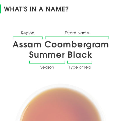 Assam Coombergram Summer Black
