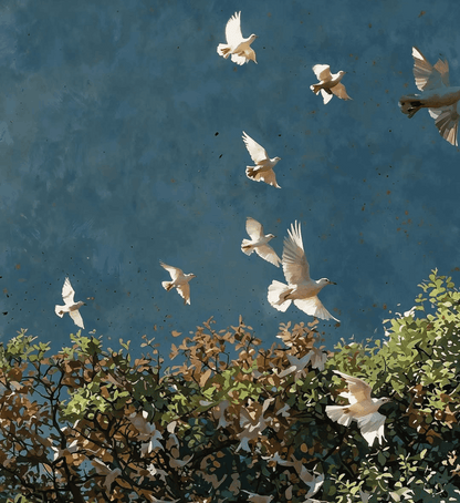 Birds of Peace  - Monsoon Edition