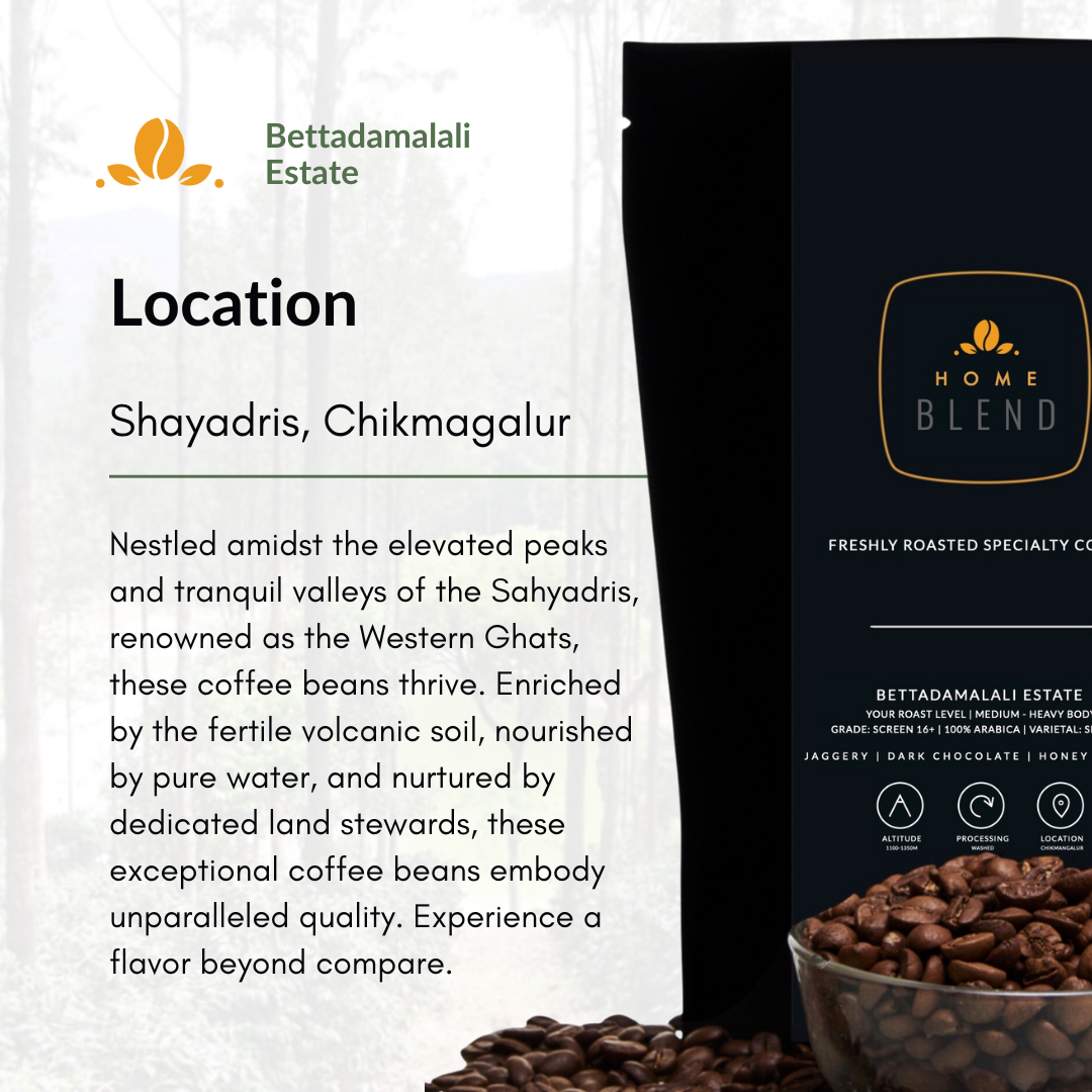 Whole Bean - Bettadamalali Estate - Pack of 250g
