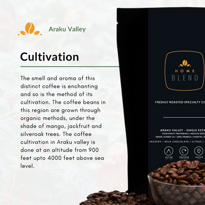 Ground Coffee - Araku Valley - Pack of 250g