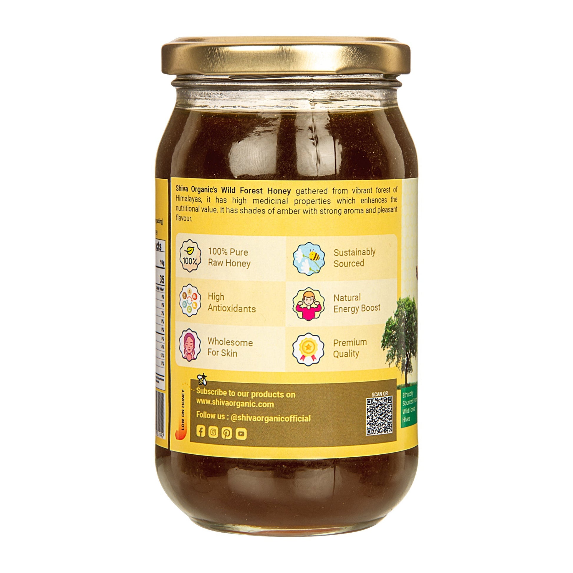 Wild Forest Honey