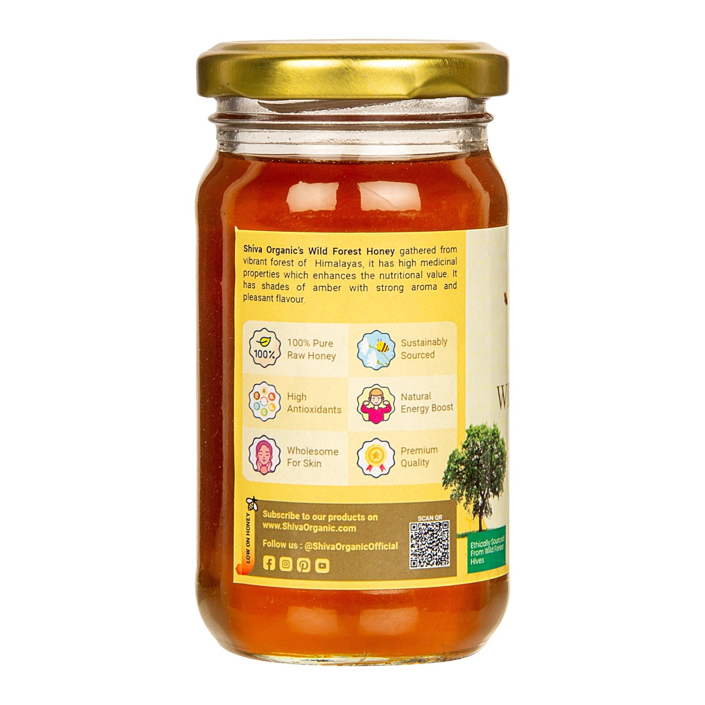 Wild Forest Honey