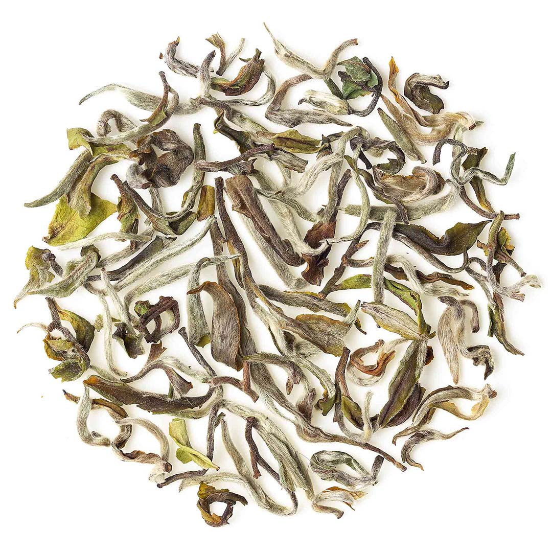 Darjeeling Badamtam Spring Moonlight White (Limited Edition)
