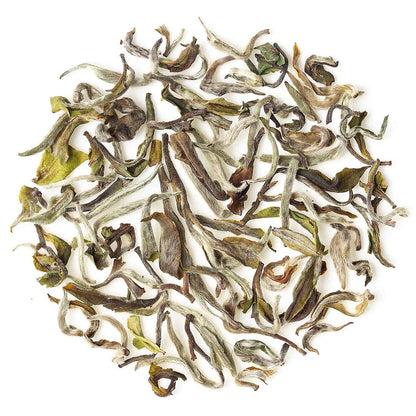 Darjeeling Badamtam Spring Moonlight White (Limited Edition)