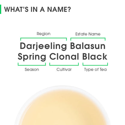 Darjeeling Balasun Spring Clonal Black