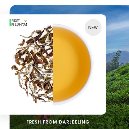 Darjeeling Exotic Moonlight White