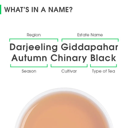 Darjeeling Giddapahar Autumn Chinary Black