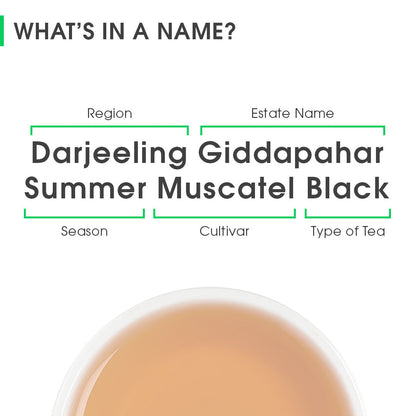 Darjeeling Giddapahar Summer Muscatel Black
