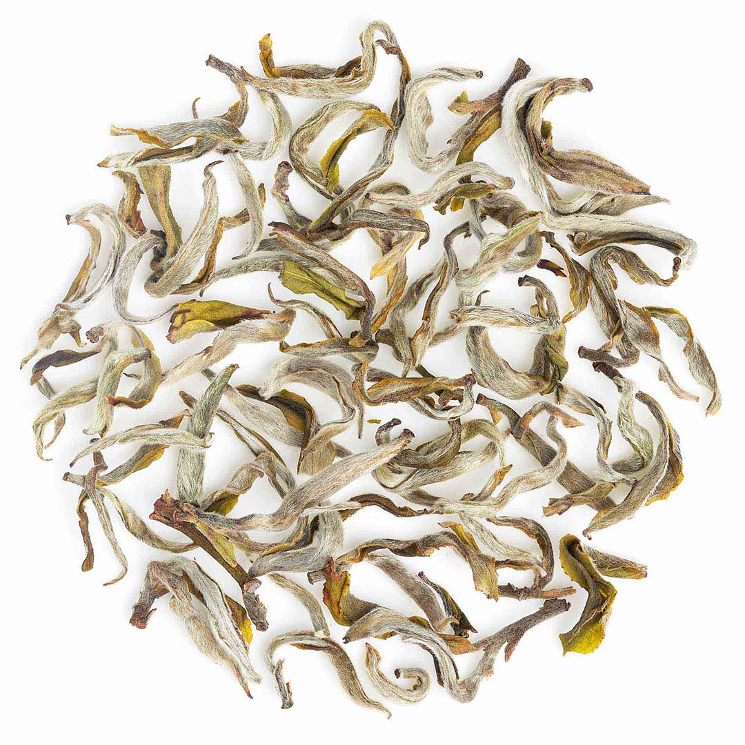 Darjeeling Margaret's Hope Spring Moonlight White