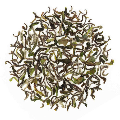 Darjeeling Okayti Spring Chinary Black