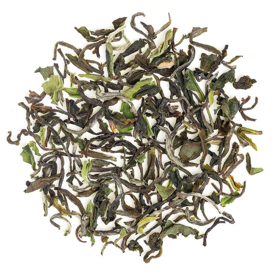 Darjeeling Okayti Spring Clonal Black (Limited Edition)