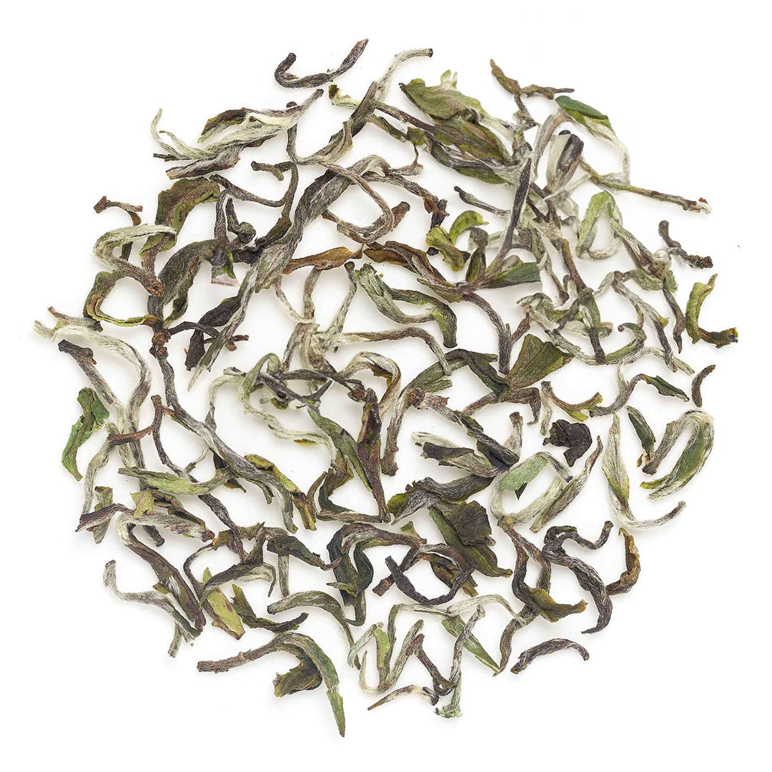 Darjeeling Snowview Spring Clonal Black