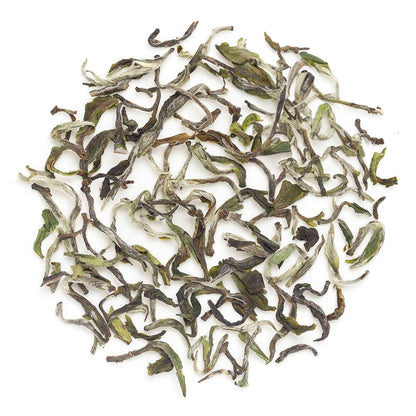 Darjeeling Snowview Spring Clonal Black