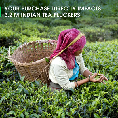Darjeeling Sungma Summer Muscatel Black