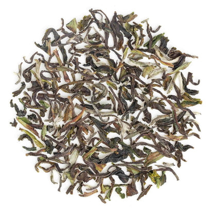 Darjeeling Thurbo Spring Chinary Black