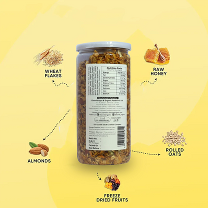 Elworld Agro & Organic Food Products Granola Muesli