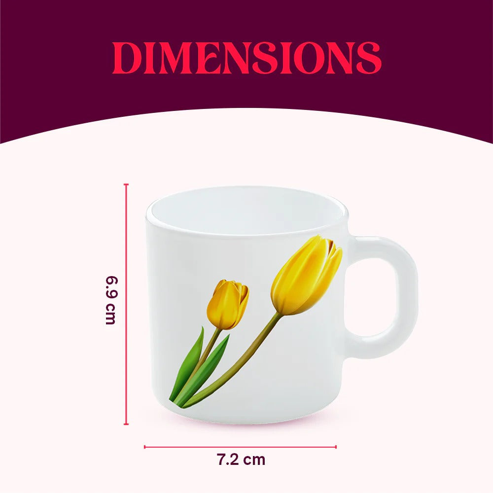 Borosil Larah Lyana Opalware Mug Set of 6