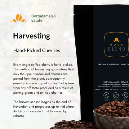 Whole Bean - Bettadamalali Estate - Pack of 250g